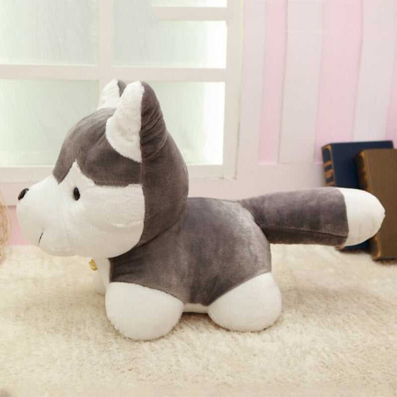 Klingelnder Husky Welpe