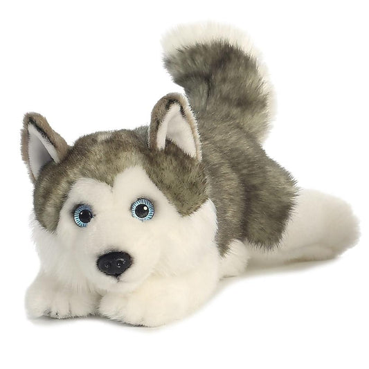 Husky - Treuer Kuschelfreund