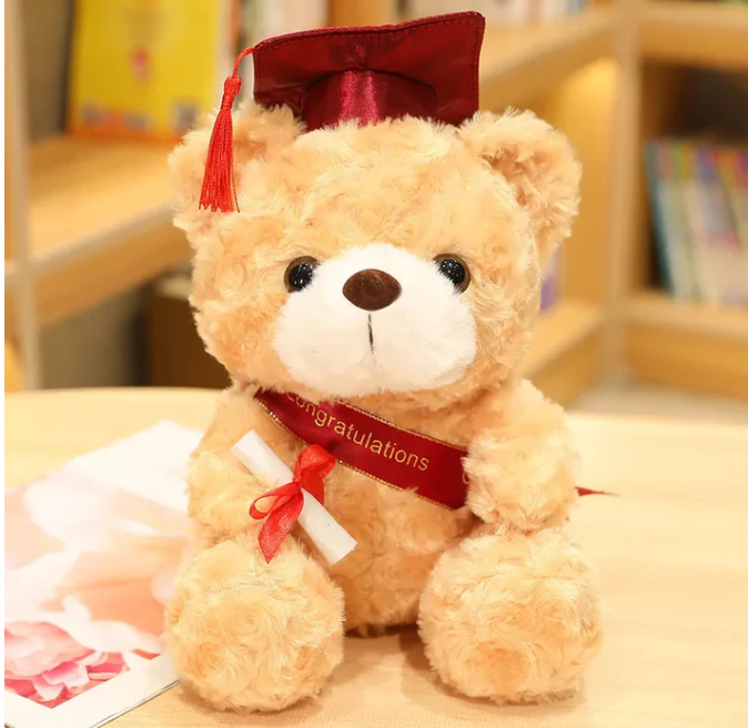 Abschluss bär geschenk