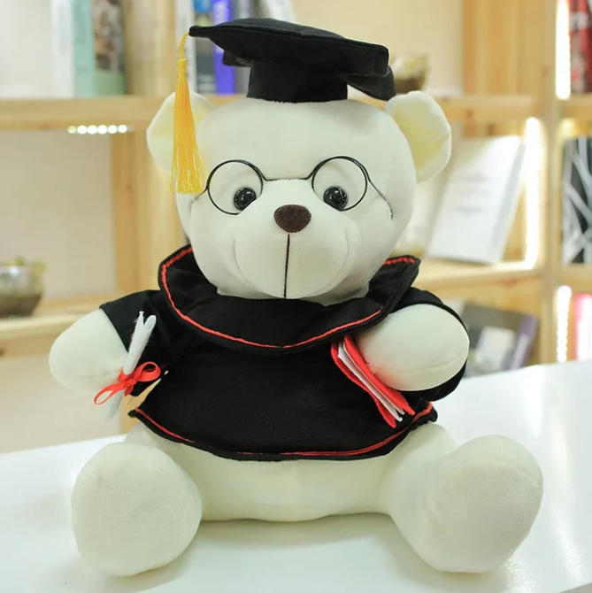 Teddy graduation geschenk feier dein stolz