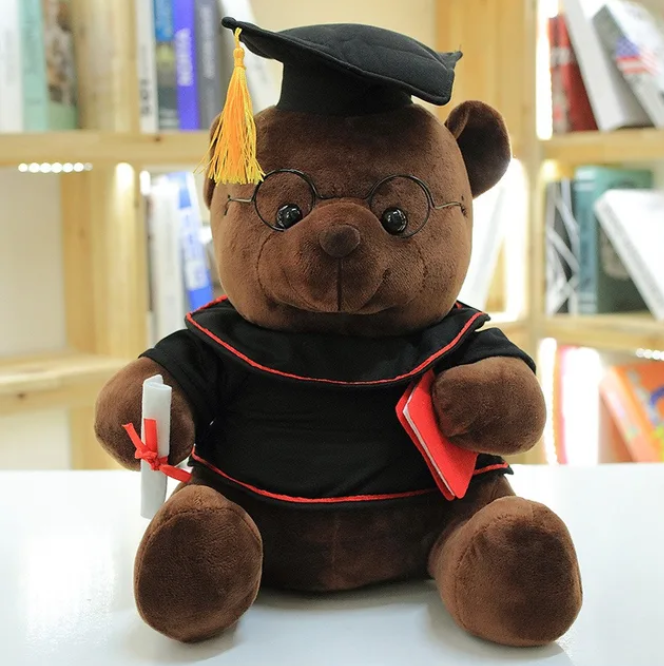 Teddy graduation geschenk feier dein stolz