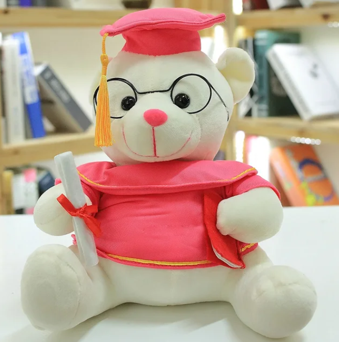 Teddy graduation geschenk feier dein stolz