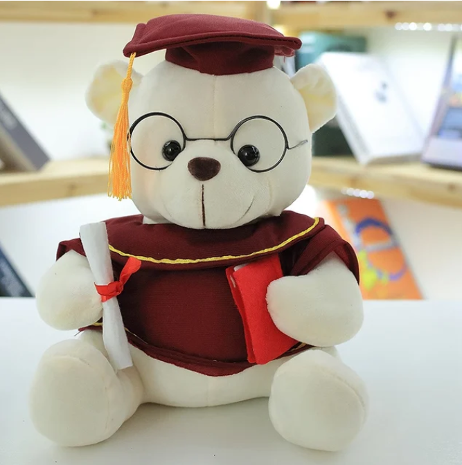 Teddy graduation geschenk feier dein stolz