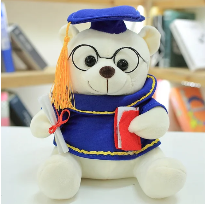 Teddy graduation geschenk feier dein stolz