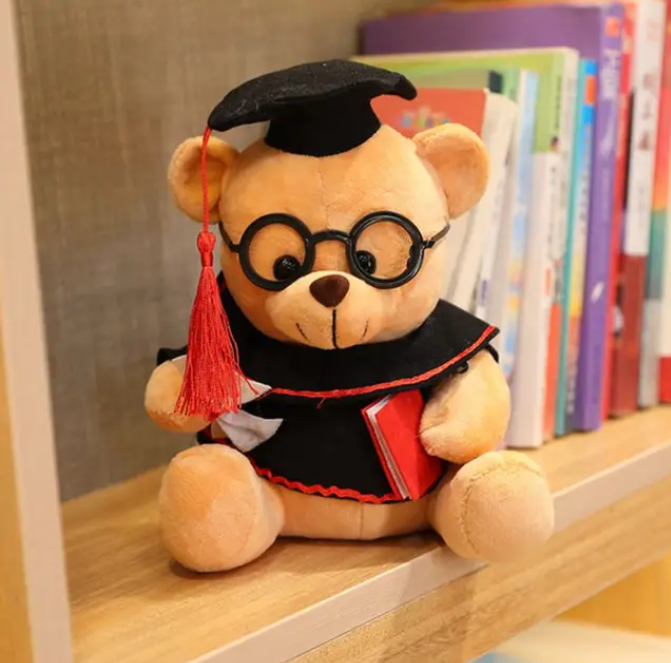 Teddy graduation geschenk feier dein stolz