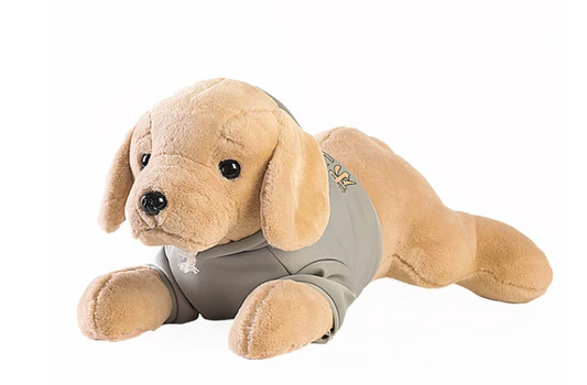 Plüsch-Golden Retriever - Kuscheltier Hund mit Jacke
