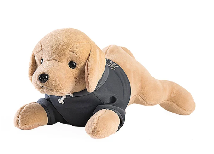 Plüsch-Golden Retriever - Kuscheltier Hund mit Jacke