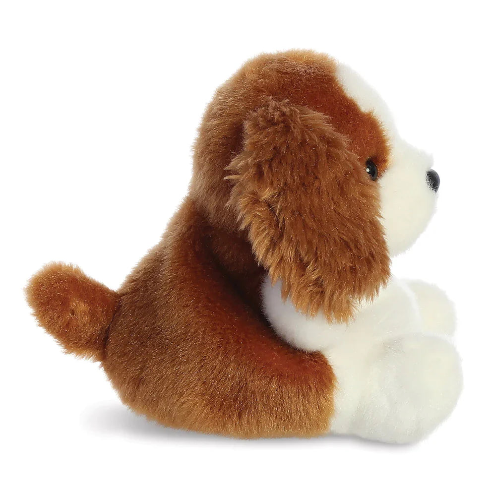 Lady - Treuer Spaniel Kuschelfreund