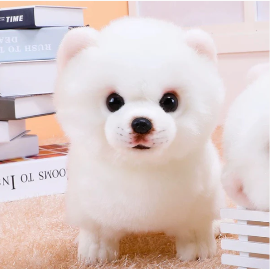 Realistischer Plüsch Pomeranian
