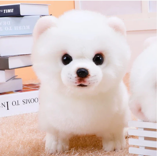 Realistischer Plüsch Pomeranian