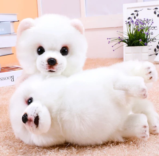 Realistischer Plüsch Pomeranian