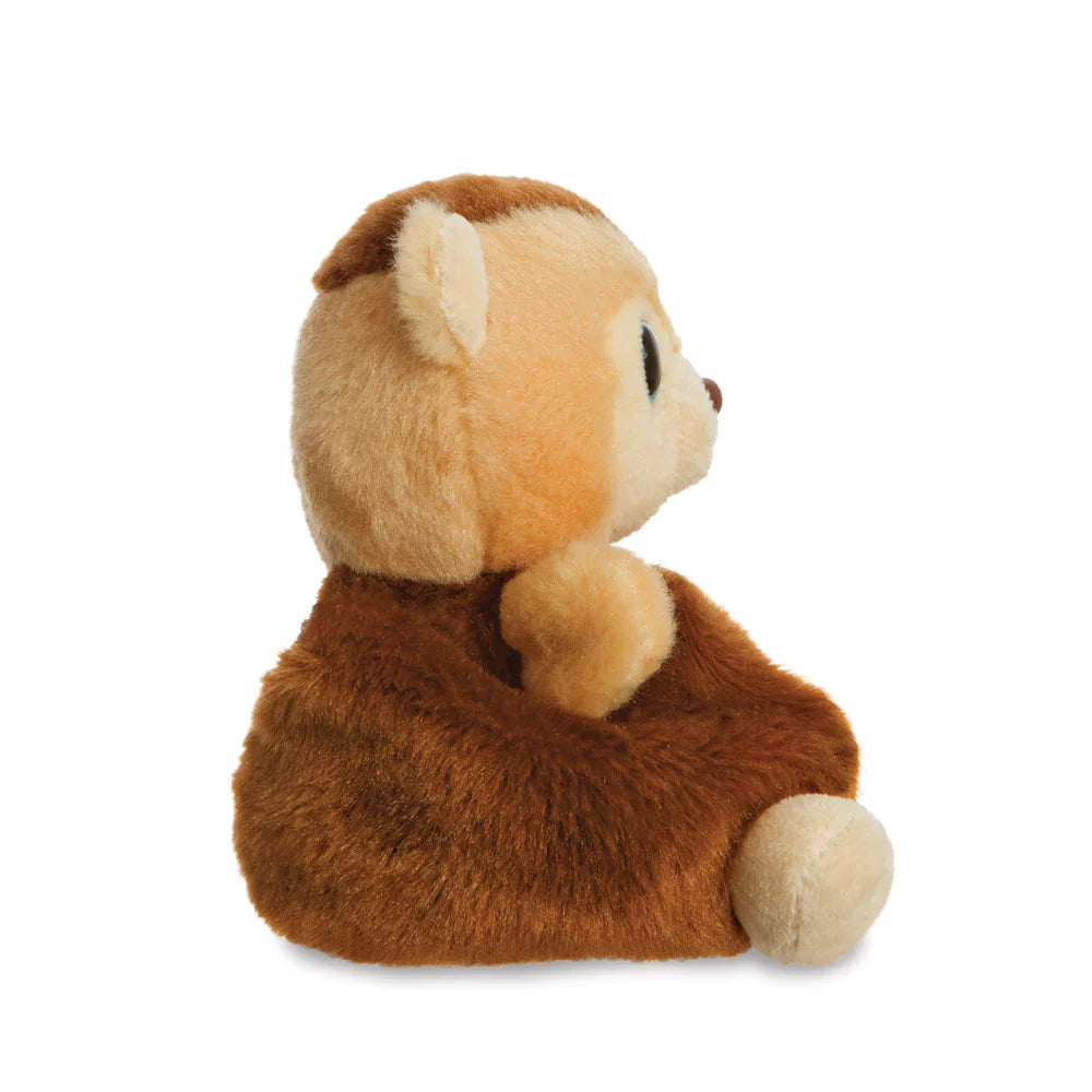 Kiki der kuschelnde Kapuzineraffe