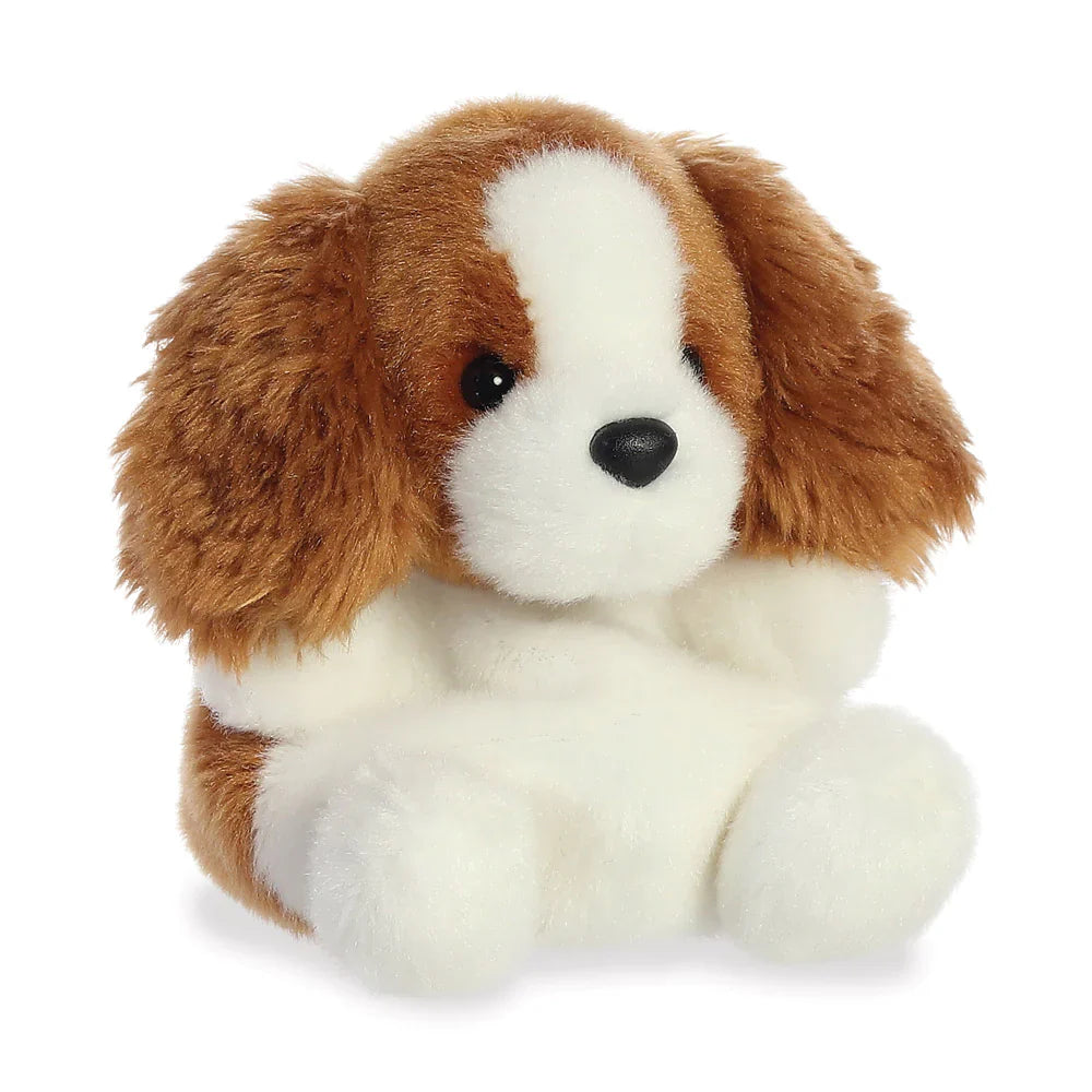 Lady - Treuer Spaniel Kuschelfreund