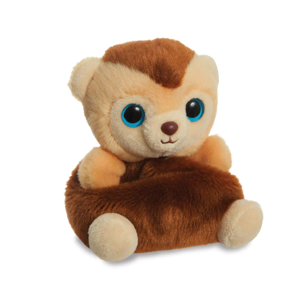 Kiki der kuschelnde Kapuzineraffe
