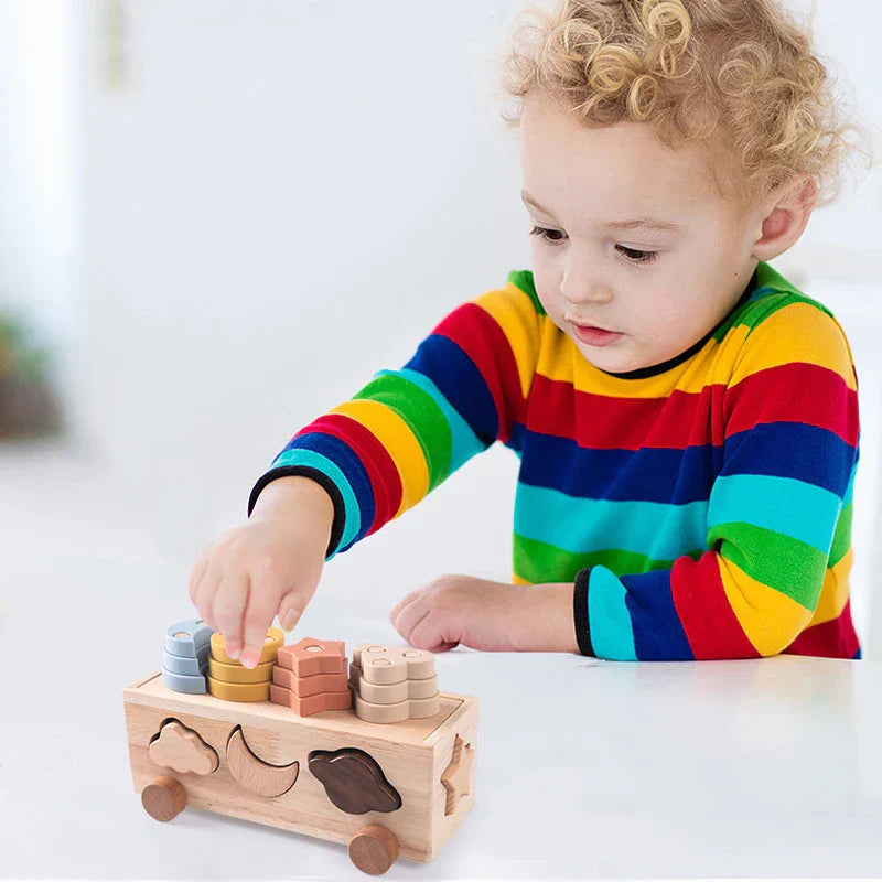 Woods - Spielerisches Sortieren - Sortierspiel