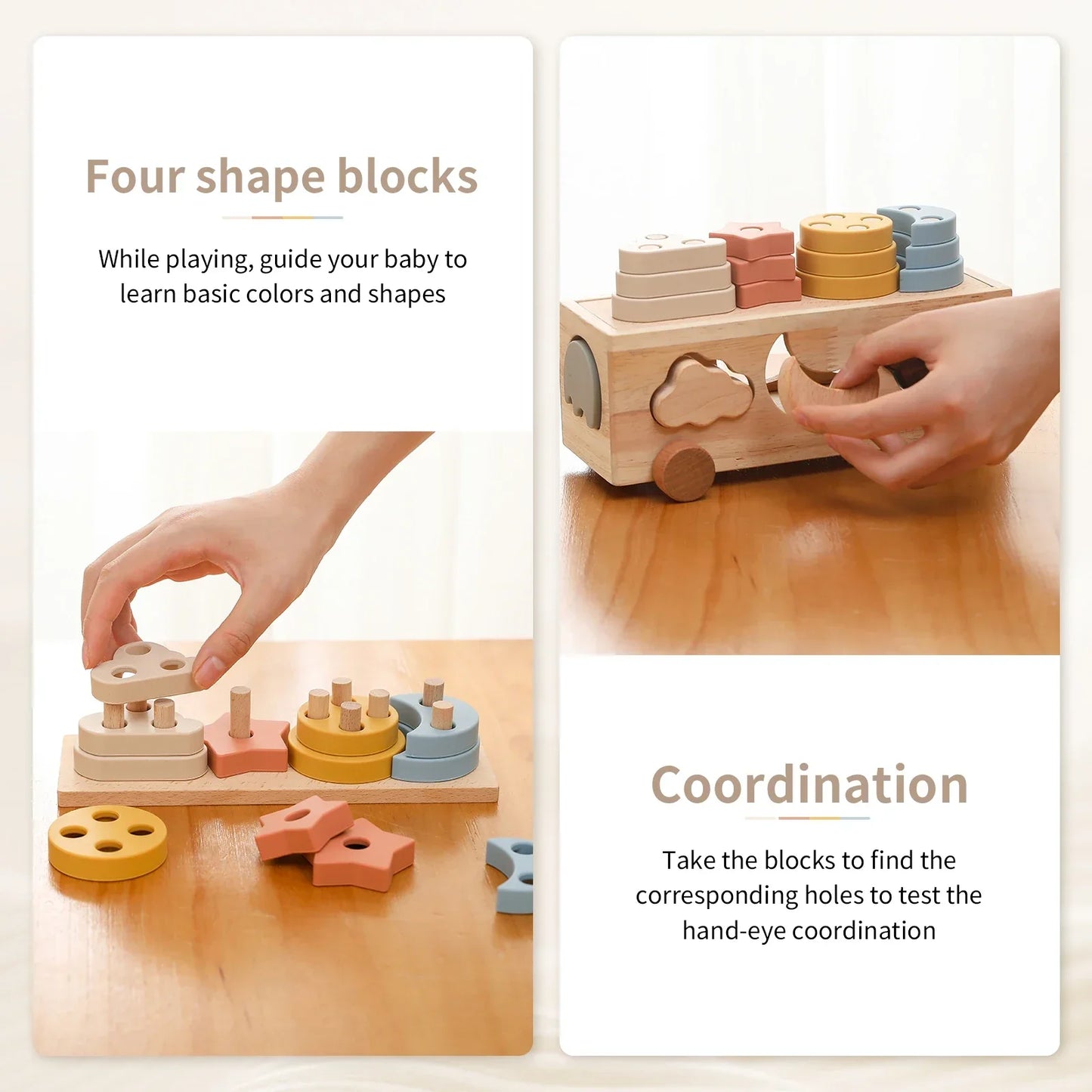 Woods - Spielerisches Sortieren - Sortierspiel