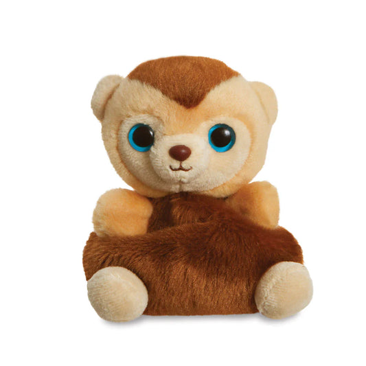 Kiki der kuschelnde Kapuzineraffe