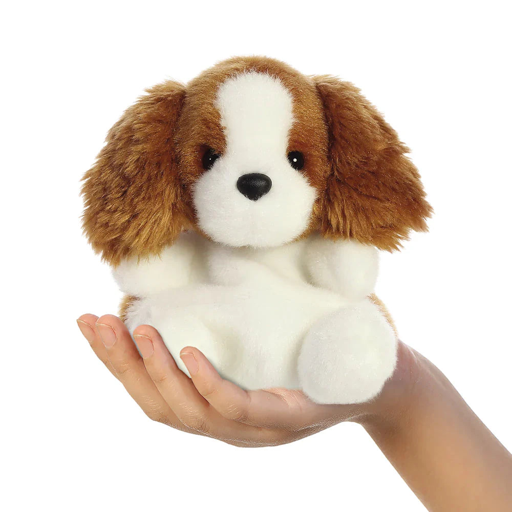 Lady - Treuer Spaniel Kuschelfreund