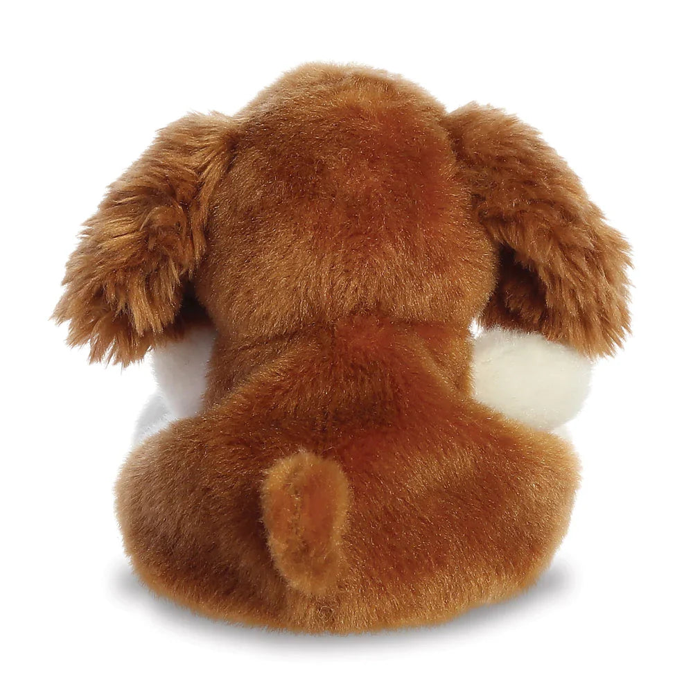 Lady - Treuer Spaniel Kuschelfreund