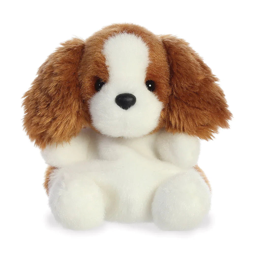 Lady - Treuer Spaniel Kuschelfreund