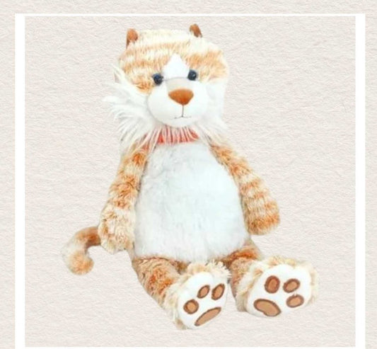 Felix - Schmusekatze
