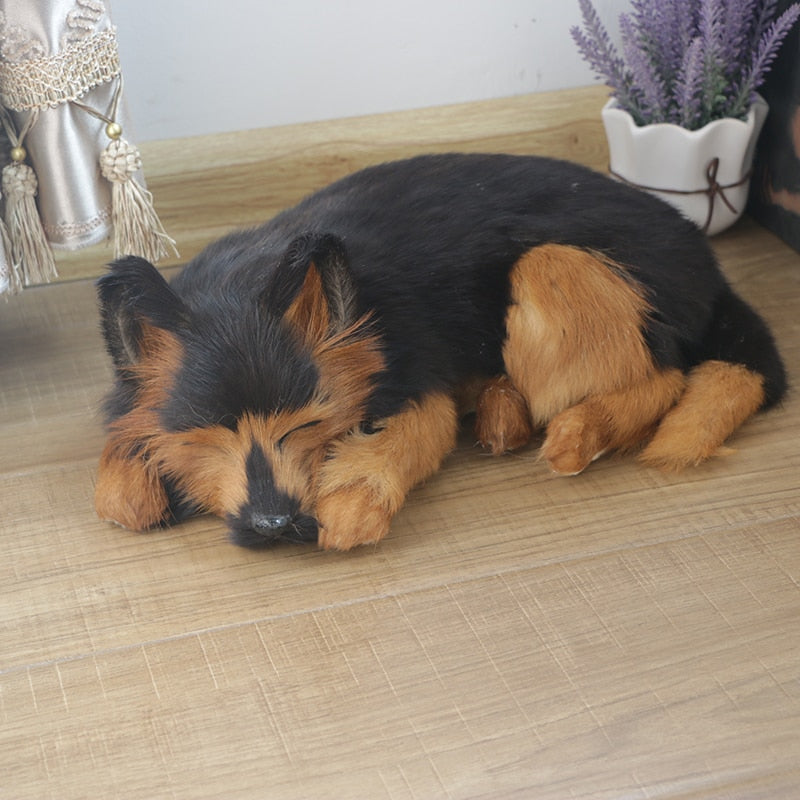 Traumhunde - Schlummernde Gefährten