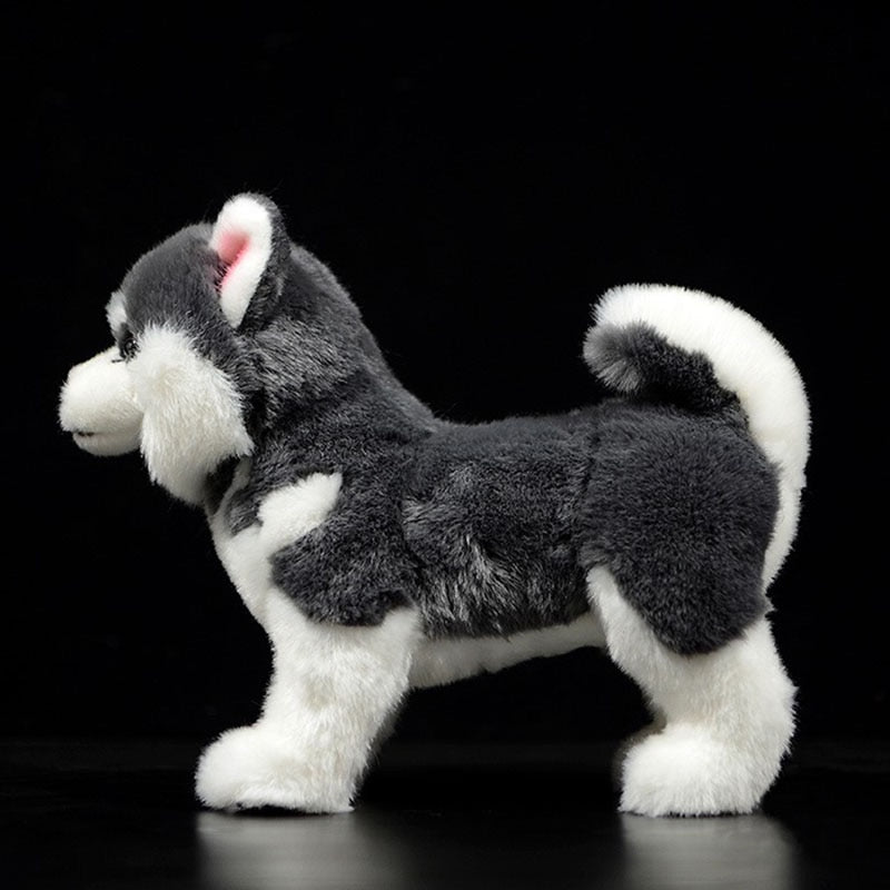 Polarfreund - Stehender Husky Plüsch