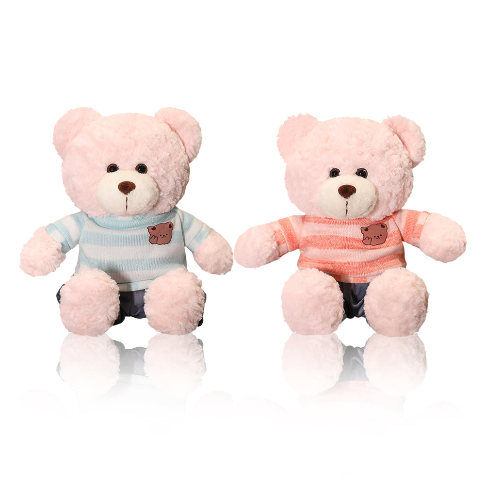 Teddybär mit Herzen auf den Pfoten