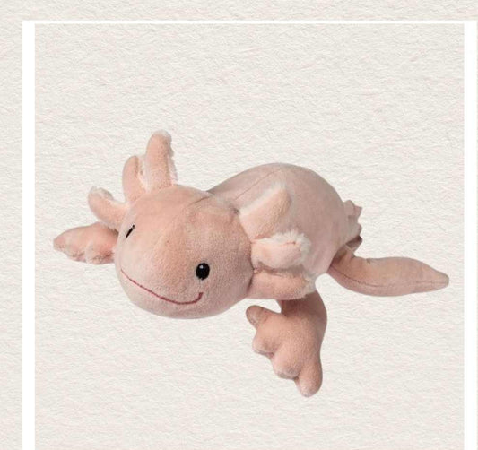 Mary Meyer: Izzy Axolotl - 12", CoCo & KaBri Children's Boutique