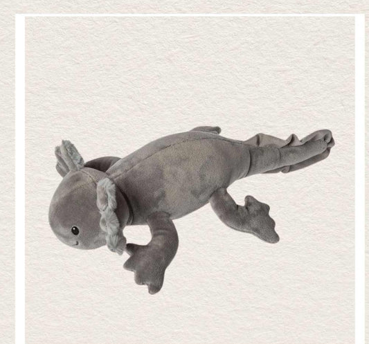 Mary Meyer: Otto Axolotl - 12", CoCo & KaBri Children's Boutique