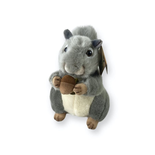 Amerikanisches Grauhörnchen
