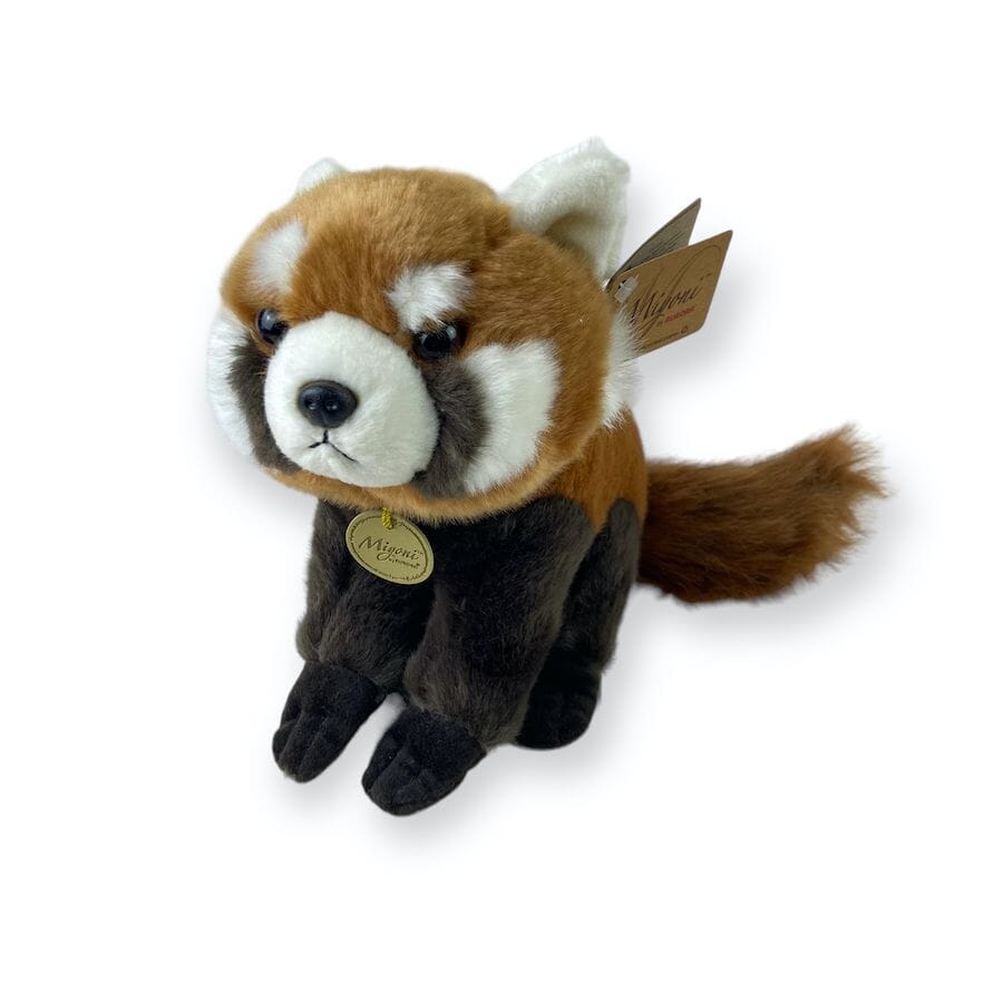 Aurora red panda shop