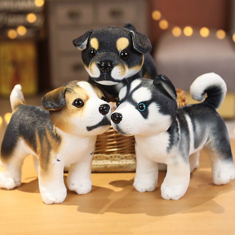 Wachsam - Rottweiler Kuschelwelpe
