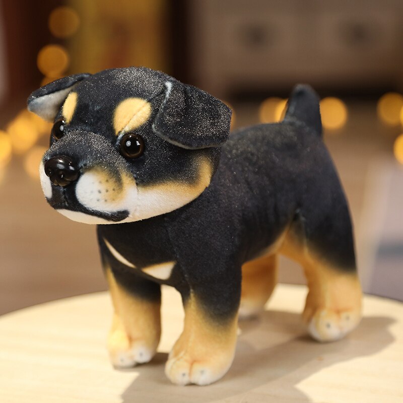 Wachsam - Rottweiler Kuschelwelpe