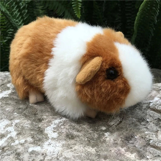 Flauschiges Meerschweinchen