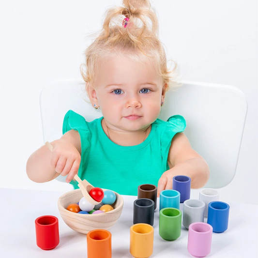 Montessori sortier und farberkennung holz set