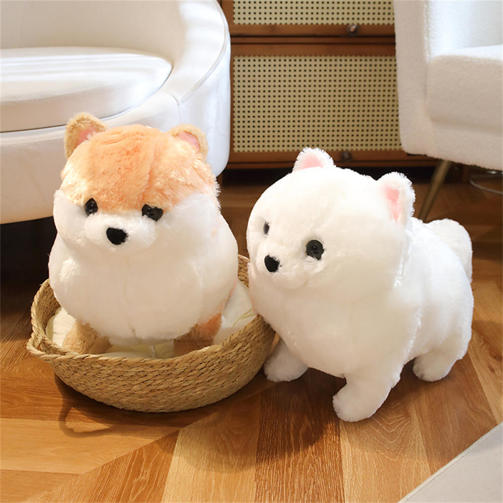 Kawaii Pomeranian Hund