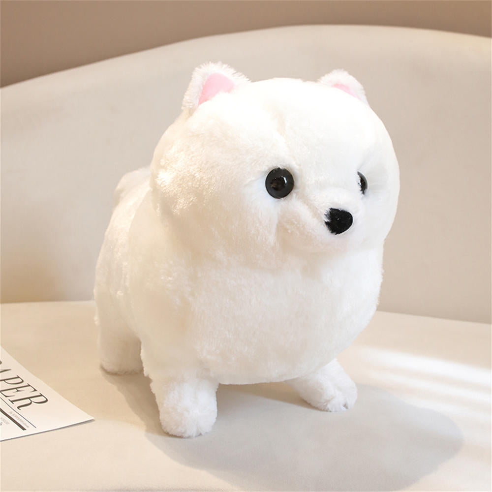Kawaii Pomeranian Hund