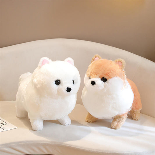 Kawaii Pomeranian Hund