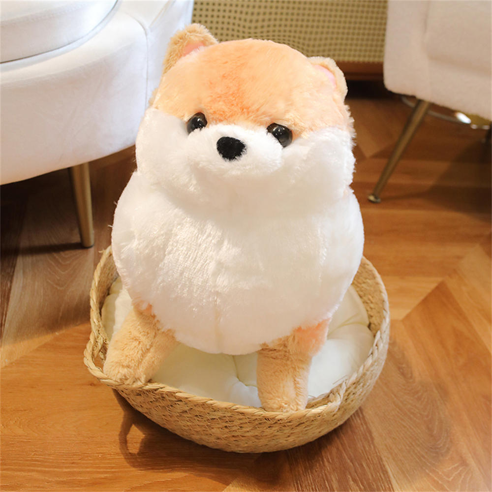 Kawaii Pomeranian Hund