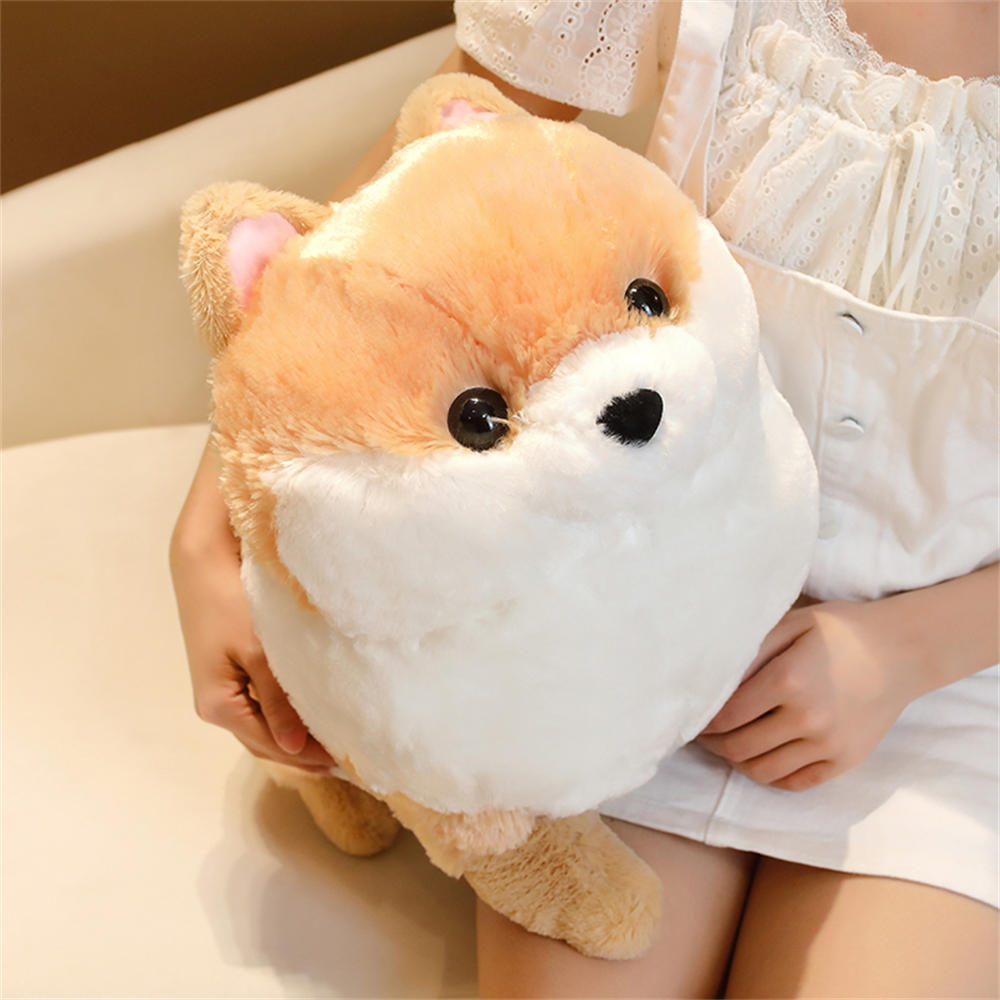 Kawaii Pomeranian Hund