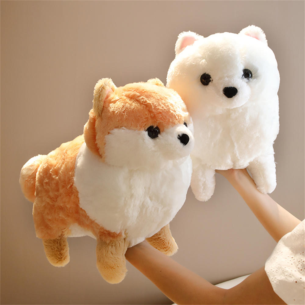 Kawaii Pomeranian Hund