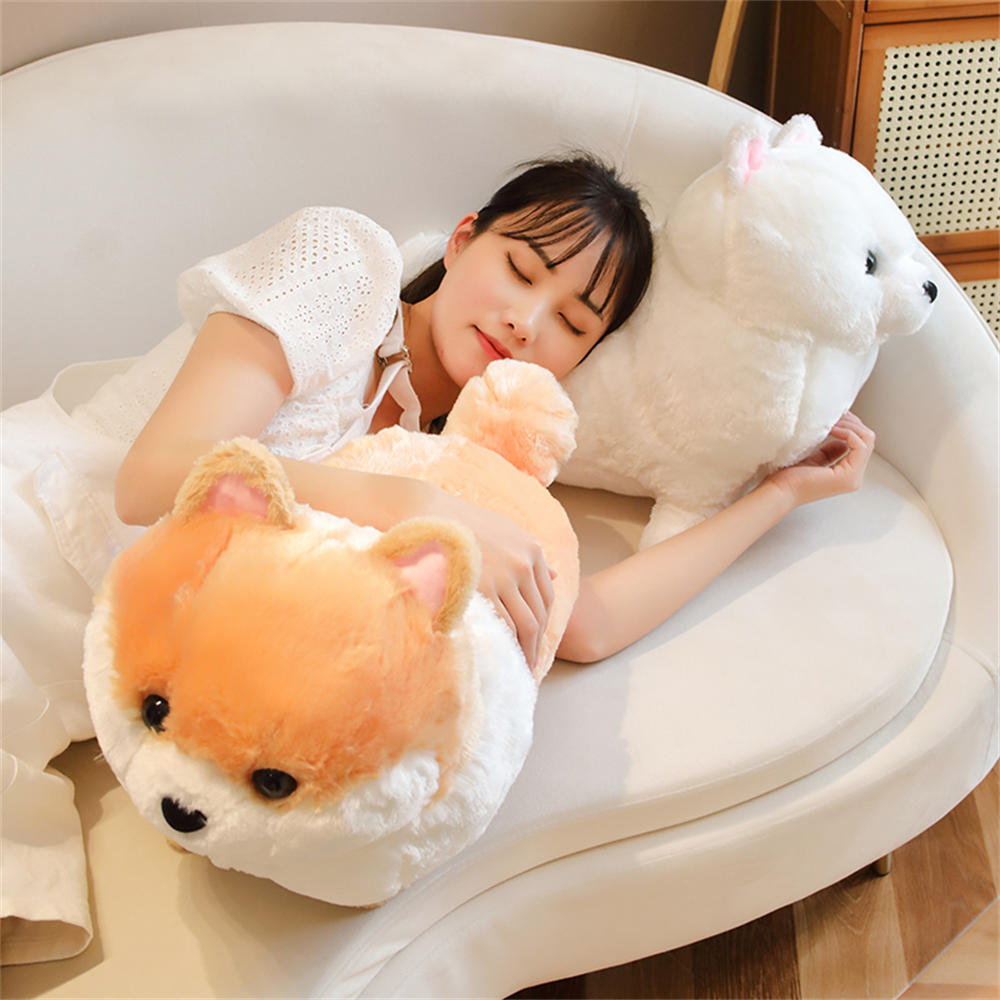 Kawaii Pomeranian Hund