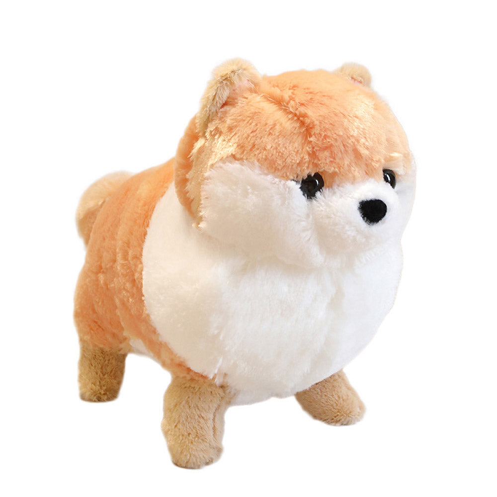 Kawaii Pomeranian Hund