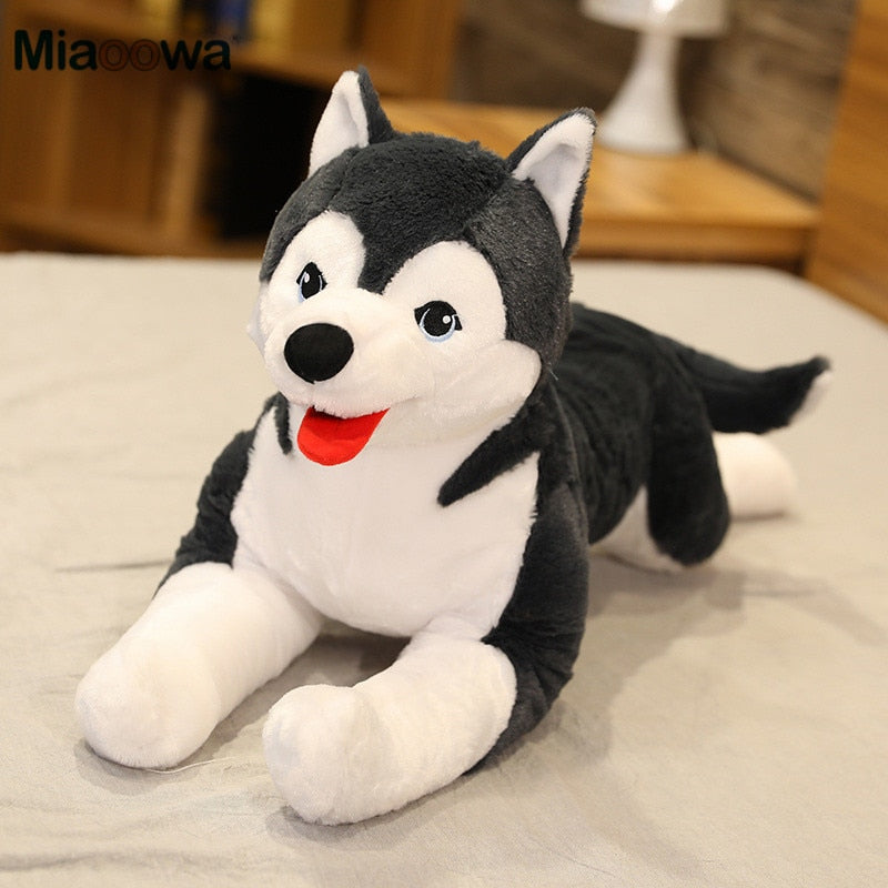 Jetzt Lebensgroßer Husky Welpe Stofftier (ca. 70cm) bei Kuscheltiere.store kaufen