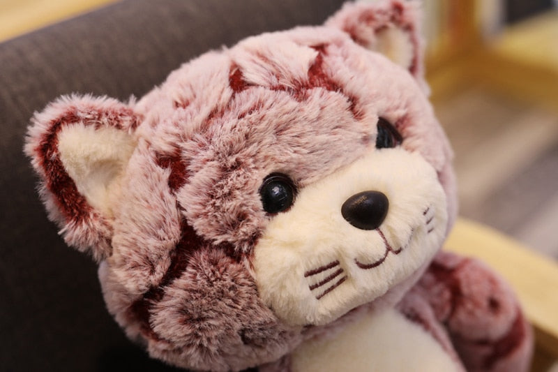 Jetzt Kawaii Plüsch Katzen Stofftiere (50cm - 90cm) bei Kuscheltiere.store kaufen