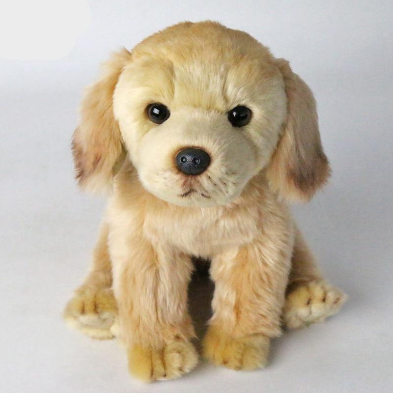 Treuer Labrador Kuschelwelpe
