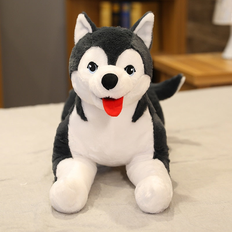 Jetzt Lebensgroßer Husky Welpe Stofftier (ca. 70cm) bei Kuscheltiere.store kaufen