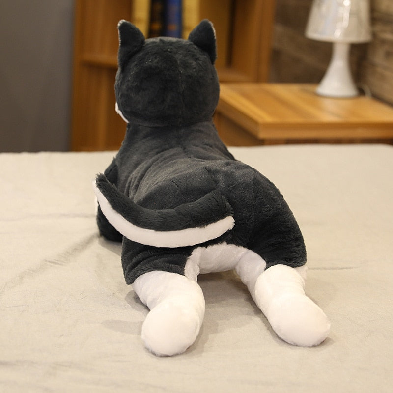 Jetzt Lebensgroßer Husky Welpe Stofftier (ca. 70cm) bei Kuscheltiere.store kaufen