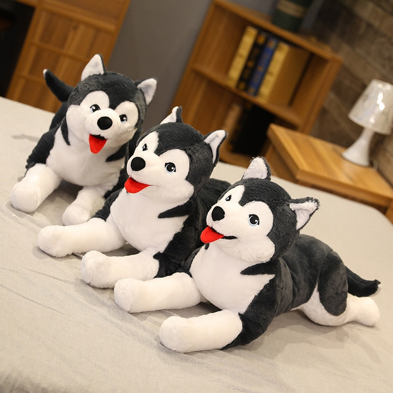 Jetzt Lebensgroßer Husky Welpe Stofftier (ca. 70cm) bei Kuscheltiere.store kaufen